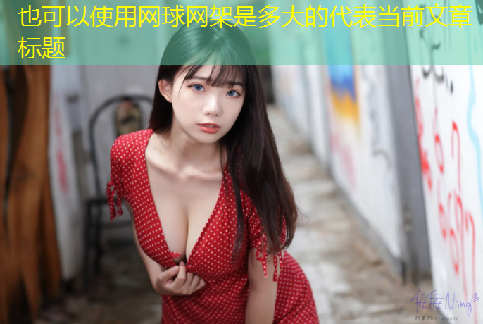 网球网架是多大的