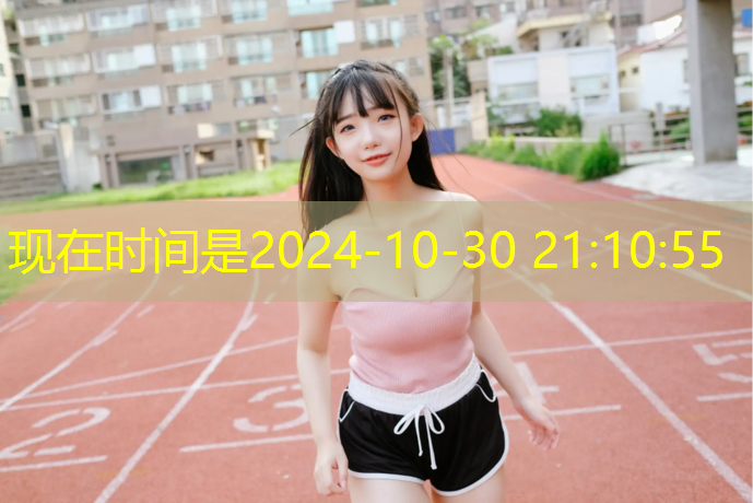 网球网行业分析报告