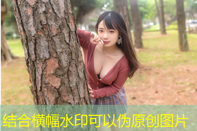 艺术体操项目球