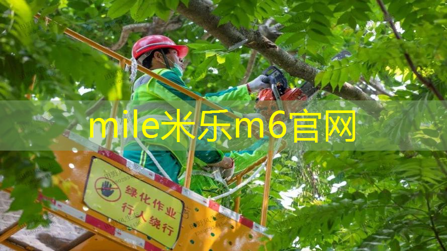 米乐m6官网登录入口：网球拍手柄怎么看型号