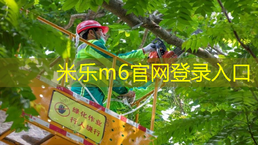 米乐m6官网：网球拍手柄大小怎么选择