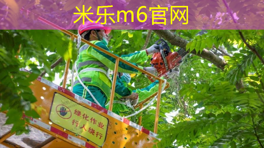 mile·米乐m6：邓禄普网球拍是哪里的