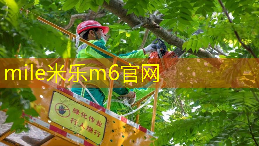 米乐m6官网：网球拍甜区大好还是小好