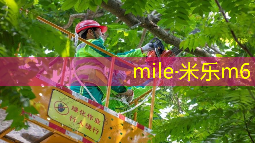 米乐：网球拍线用多长的好用呢