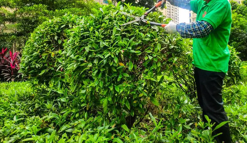 米乐：铝合金的网球拍好吗_