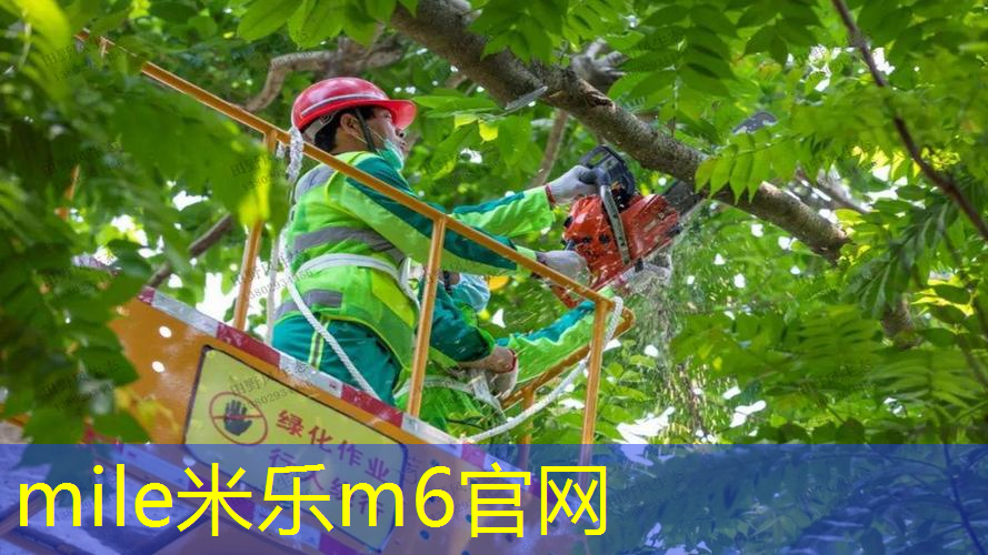 网球拍多久老化好换胶皮
