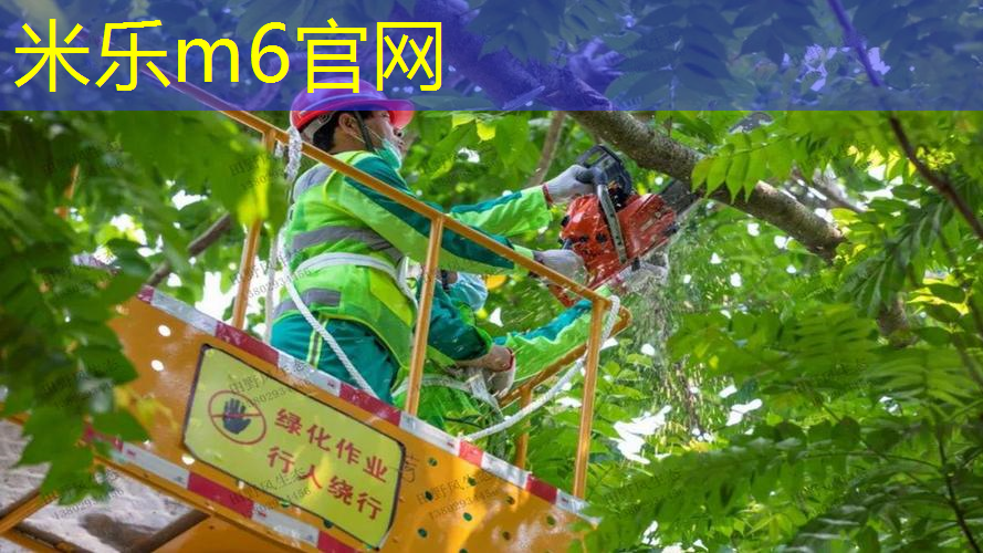 一个网球拍需要几根线