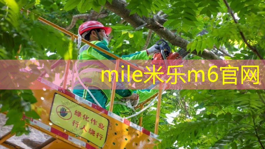 米乐m6官网：93拍面网球拍1418