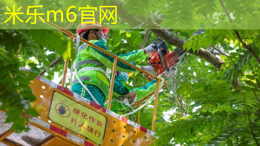 成人用哪种网球拍好用点