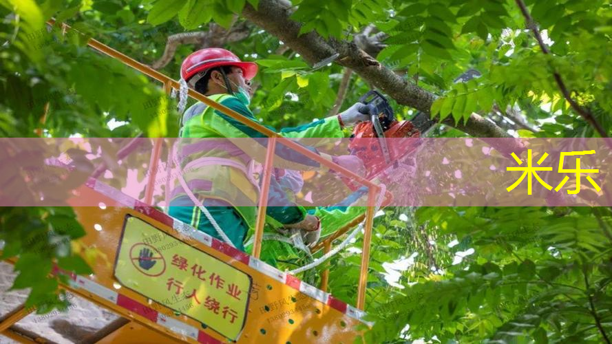 米乐m6官网：灰色套装网球拍好看吗_