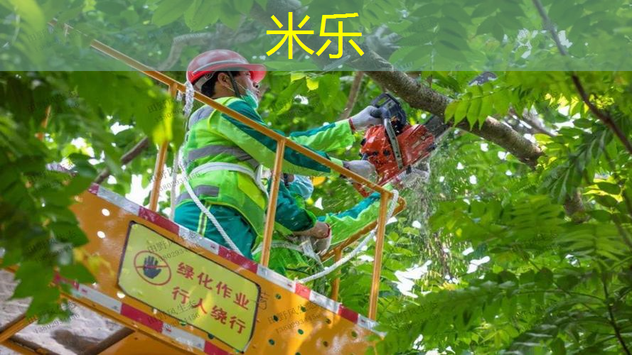 网球拍无护线管打单钉