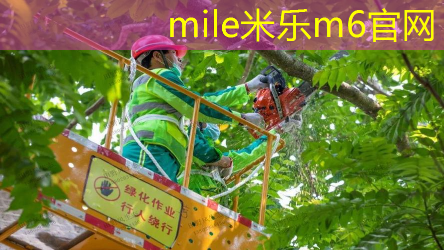 米乐m6官网登录入口：网球拍女孩子怎么选好看