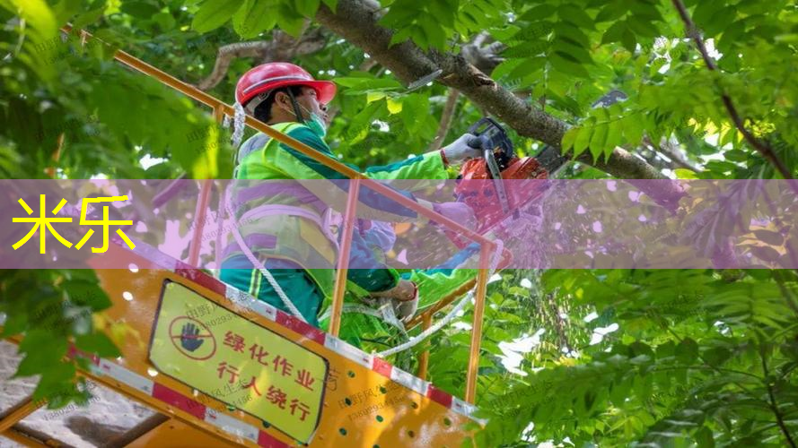 mile米乐m6官网：适合打出旋转的网球拍是什么