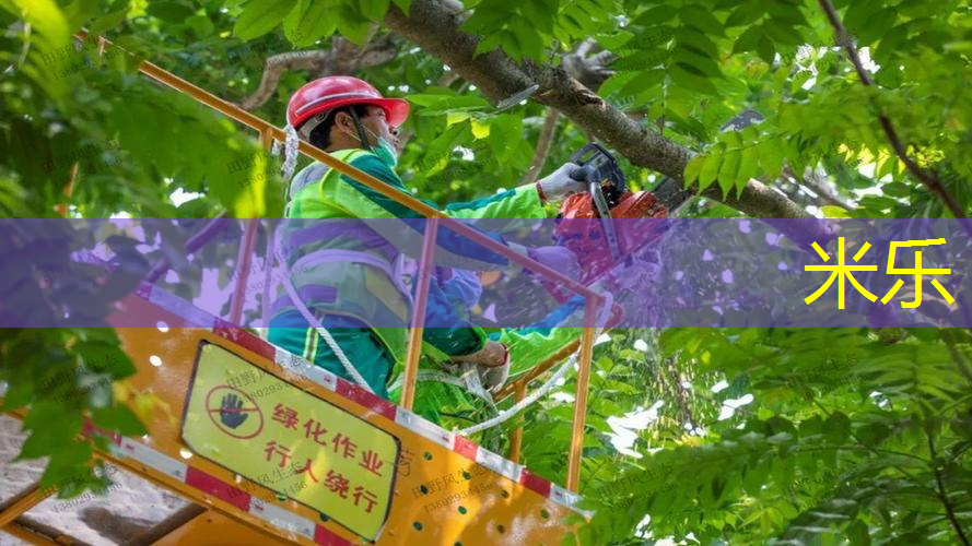 米乐：乒乓球台的长度和宽度为