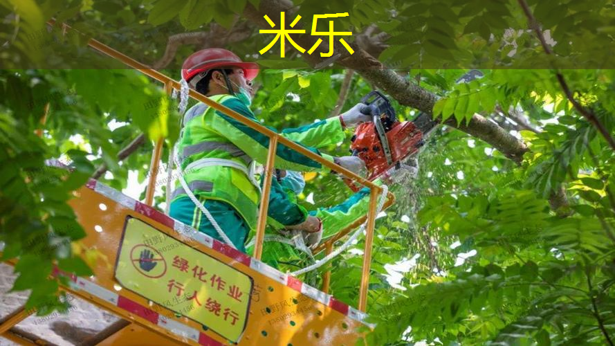 米乐：婴儿室内健身器材