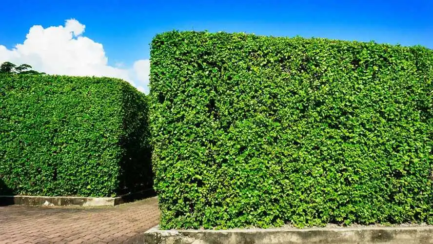 网球拍初学拍和进阶拍区别
