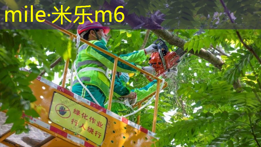 网球拍手柄怎么看型号