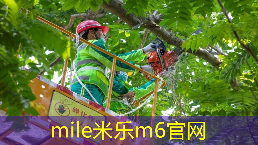 邓禄普网球拍是哪里的
