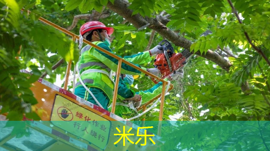 网球拍甜区大好还是小好