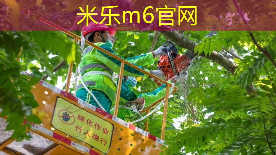网球拍线用多长的好用呢