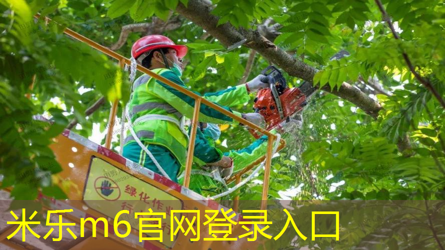 网球拍多久老化好换胶皮