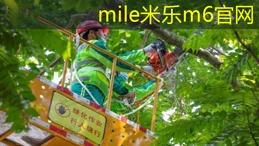 一个网球拍需要几根线