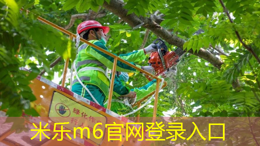 93拍面网球拍1418
