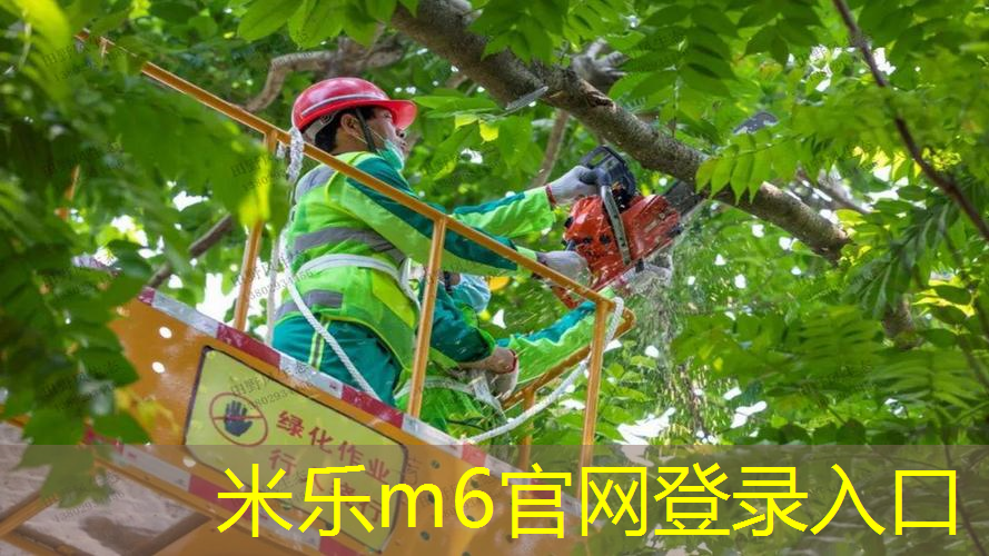 成人用哪种网球拍好用点