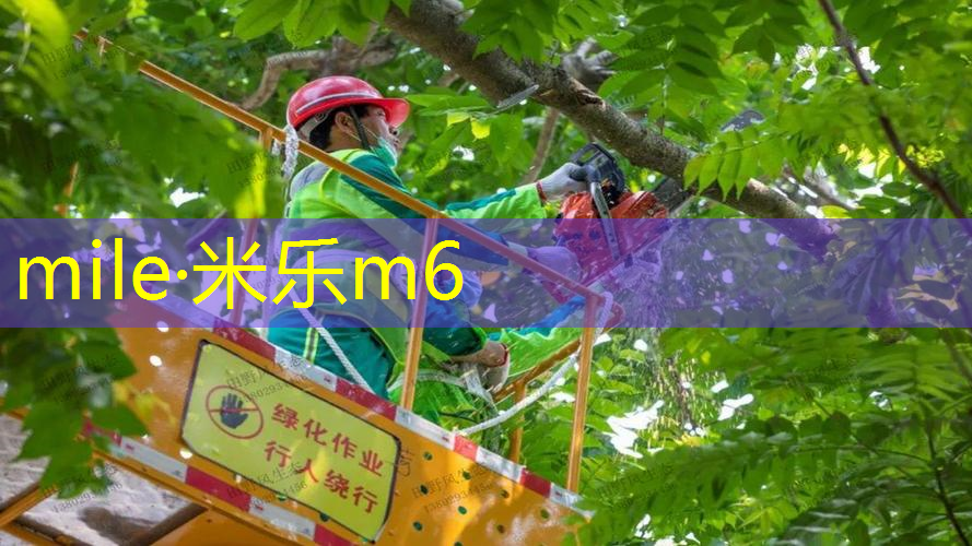 灰色套装网球拍好看吗_
