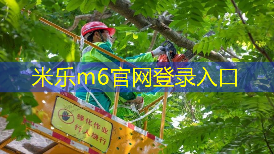 网球拍无护线管打单钉