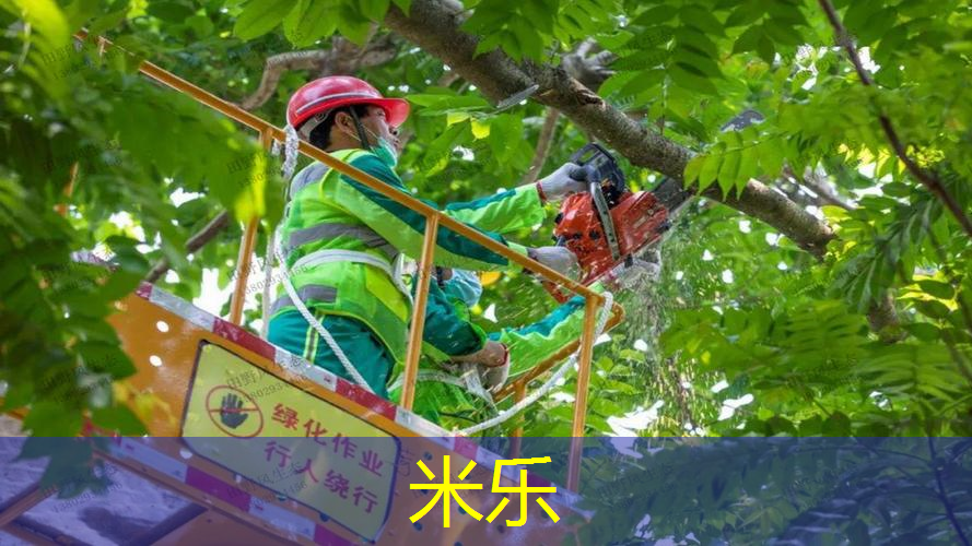 网球拍女孩子怎么选好看