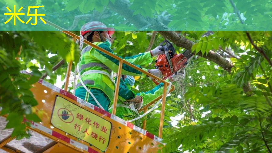 网球拍的特点是什么